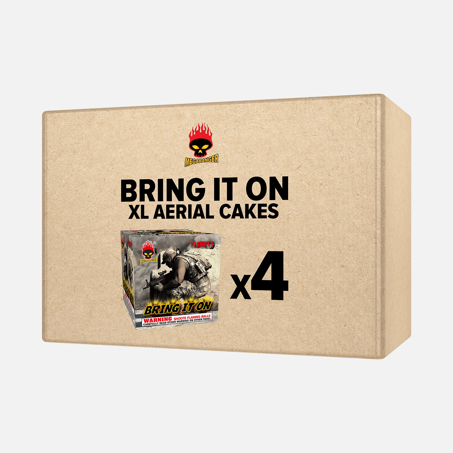 Bring It On XL Aerial Cakes