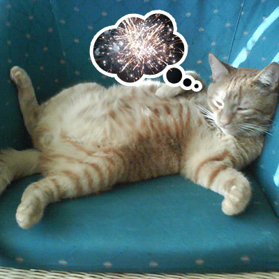 Step 3 relax with Redapple Fireworks