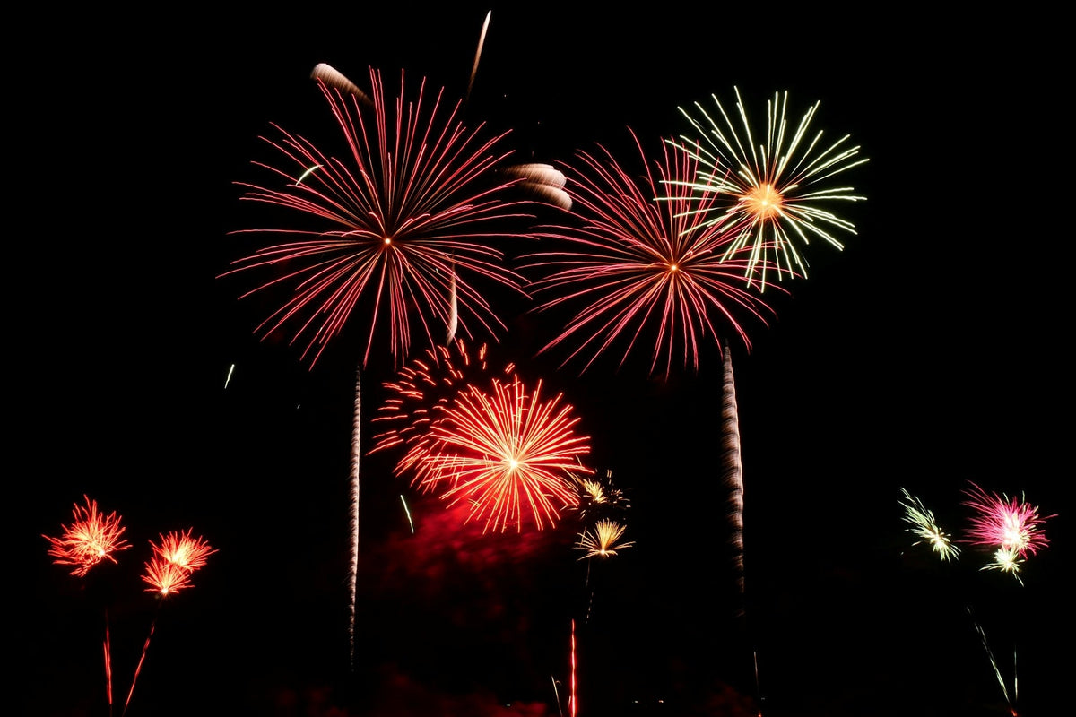 Red and gold firework bursts light up the night sky at a display that requires a pyrotechnics license
