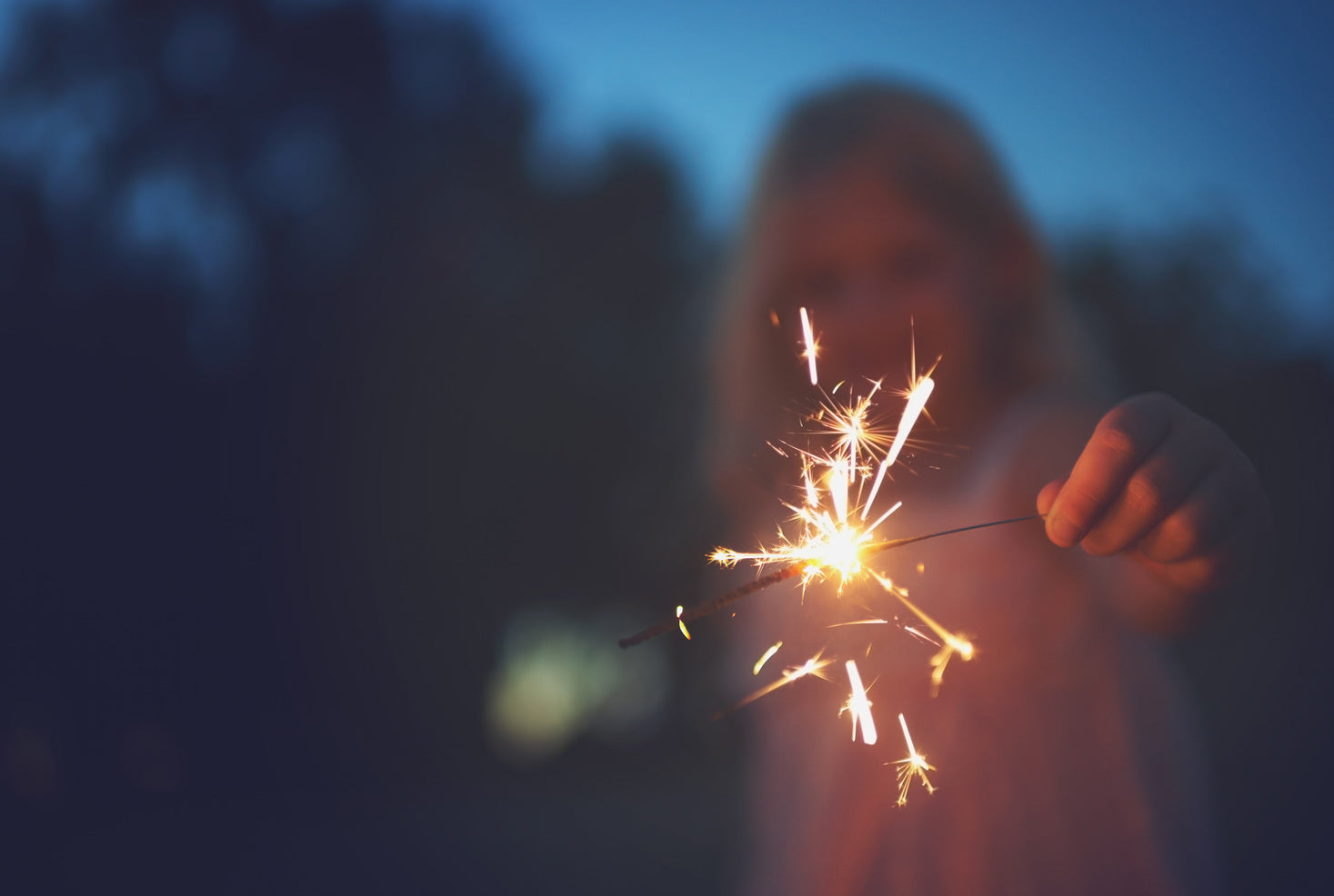 safe and sane fireworks