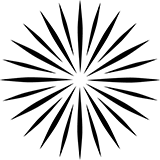 Black silhouette image of Brocade Crown firework