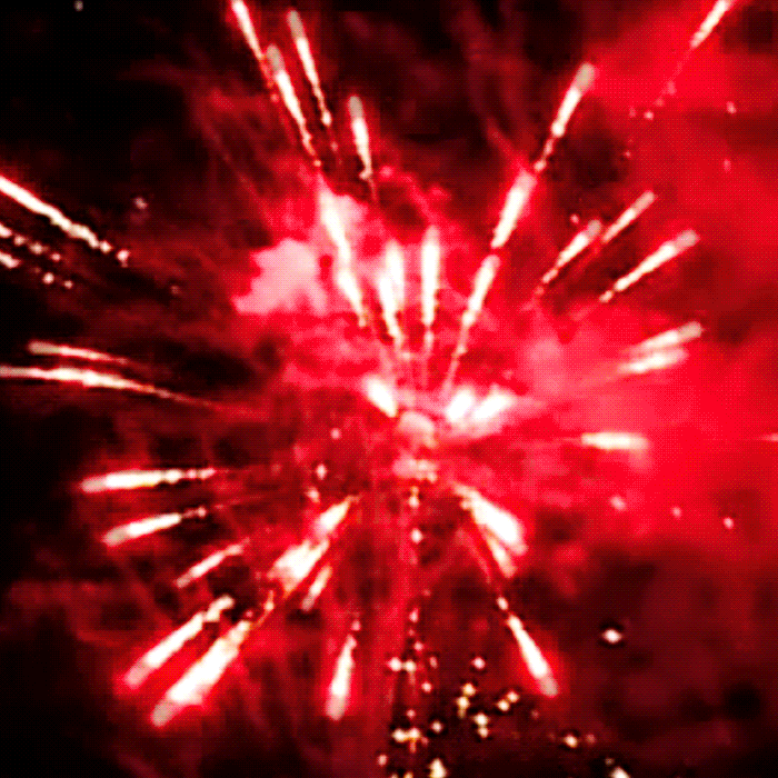 Dead Presidents™ 196 Shot XL® Aerial Finale Set®