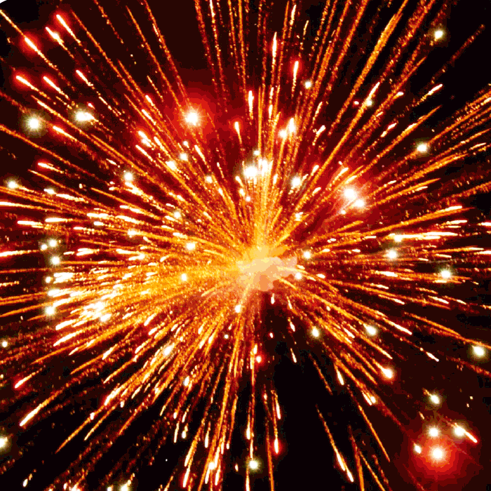 Dead Presidents™ 8 Inch Canister Shells