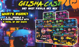 Geisha® Case 267 Shots Sampler®