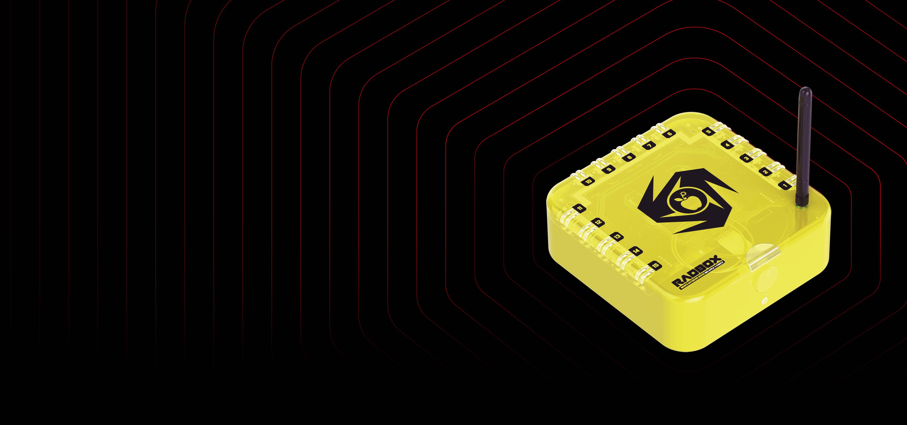 RadBox Remote Firing System – Fireworks Control Made Easy